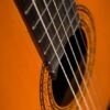 C5_BS1 Guitarra Acústica Clásica Washburn C5 WSH-A