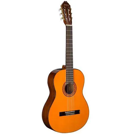 Guitarra Acústica Clásica Washburn C5 WSH-A