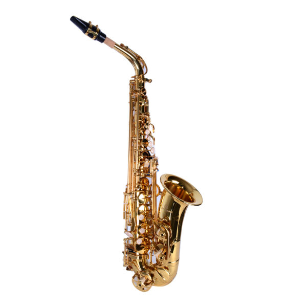 1_6744c9ce25527 Saxo Alto Cipriani CSA-700