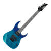 Guitarra Eléctrica Ibanez GRG120QASP BGD