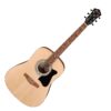 Pack Guitarra Acústica Ibanez V50NJP OPN