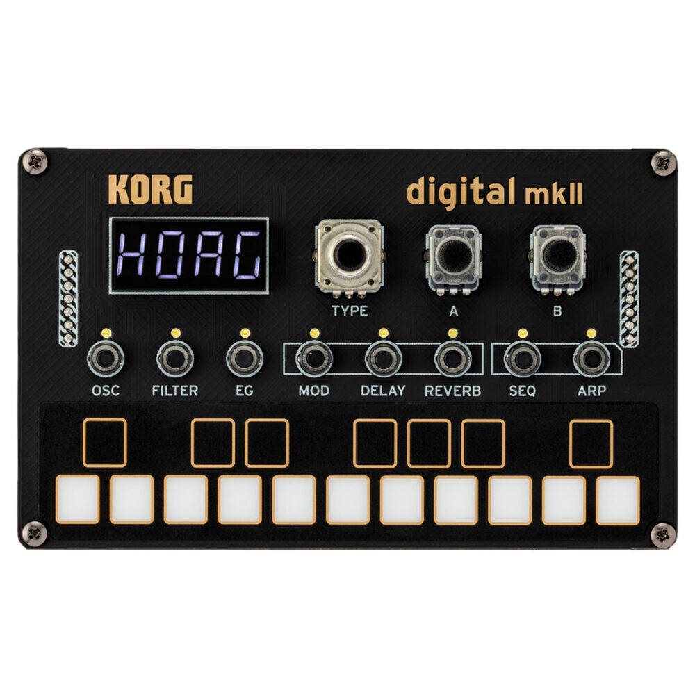 Sintetizador Programable Kit Korg NTS-1 DIGITAL2