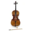 Violoncello 4/4 Baldassare CNF202E ABR Violoncello 4/4 Baldassare CNF202E ABR