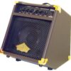 WA20._AC_SL1000_-1000x1000w.jpg AMPLIFICADOR WA 20 WASHBURN