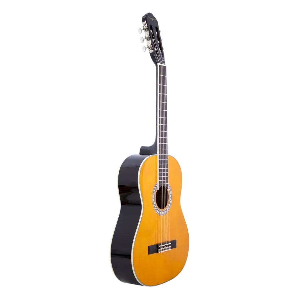 Guitarra Acústica Nylon con funda Vizcaya CASTILLA-LEÓN - vista 2