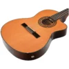 guitarra-e-a-nylon-ibanez-ga5tce-am-2.webp Guitarra E/A Nylon Ibanez GA5TCE AM - vista 2