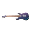 Guitarra Eléctrica Ibanez GRG121SP BMC - vista 2