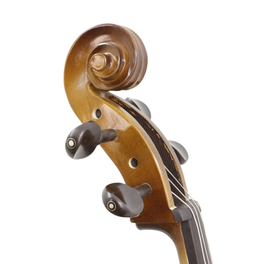 Violoncello 4/4 Baldassare CS301E LAQ - vista 4